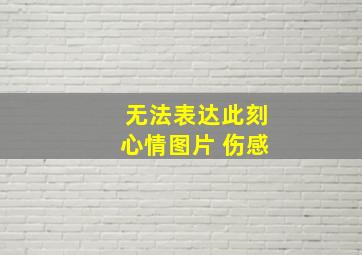 无法表达此刻心情图片 伤感